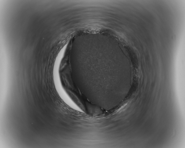 X0000086960818200704301236
