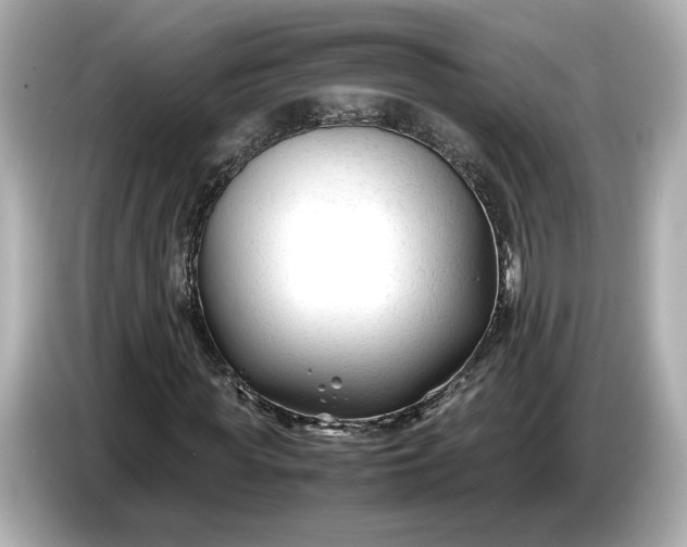 X0000086960819200704301236