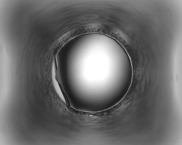 X0000086960821200704301236