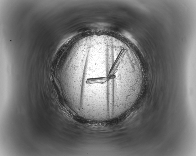 X0000086960823200704301236