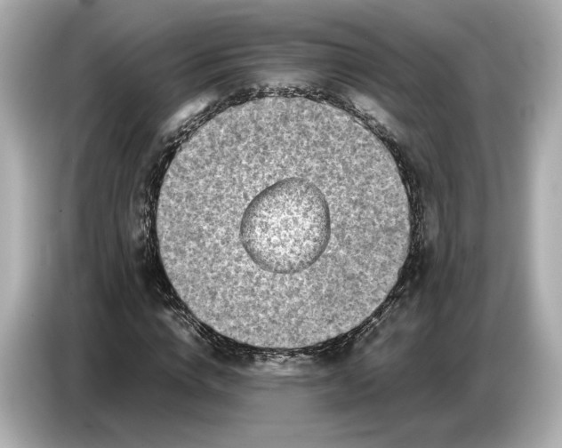 X0000086960824200704301236