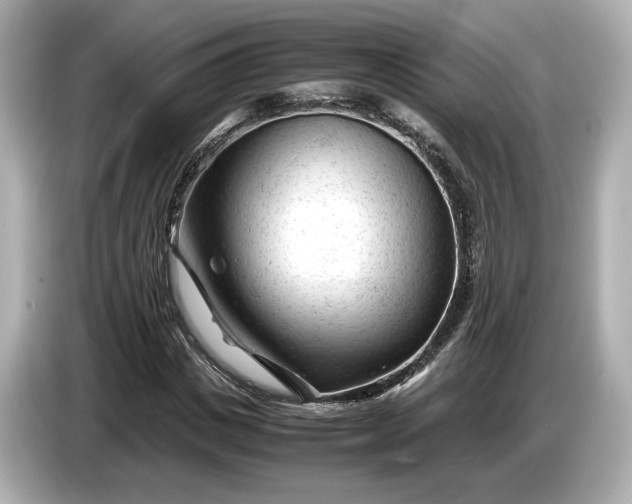 X0000086960825200704301236