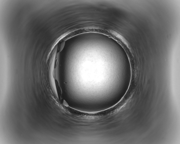 X0000086960829200704301236