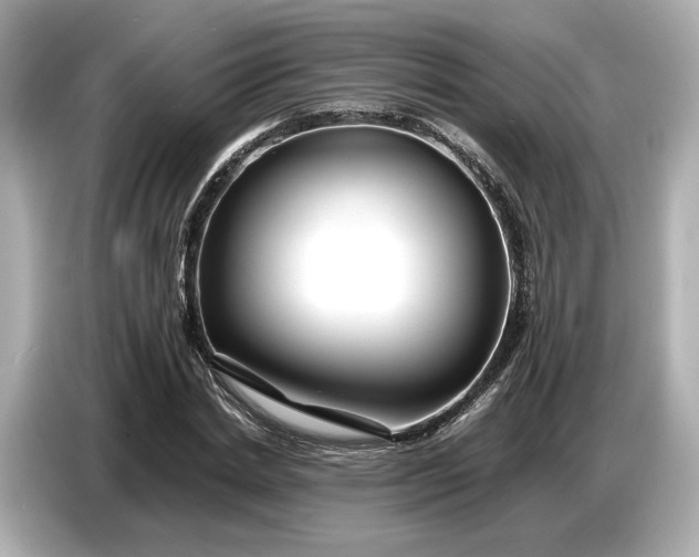 X0000086960830200704301236