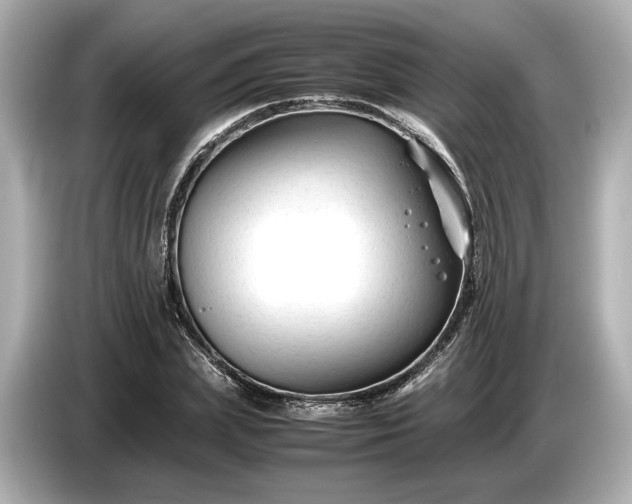 X0000086960831200704301236