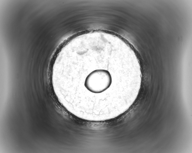 X0000086960832200704301236