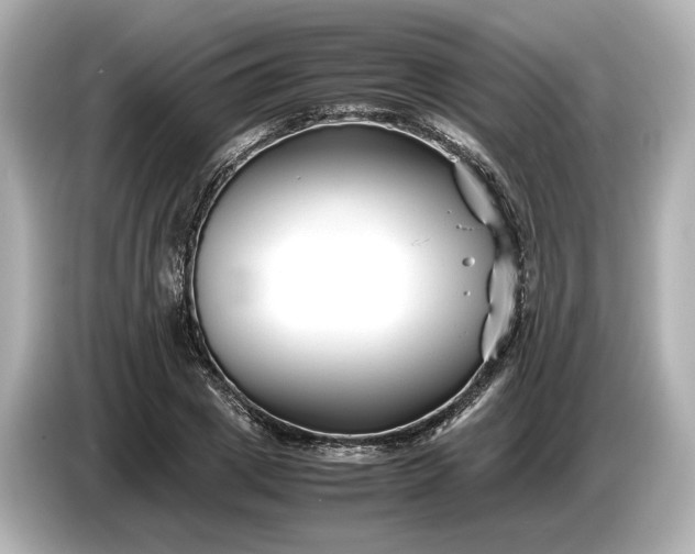 X0000086960833200704301236