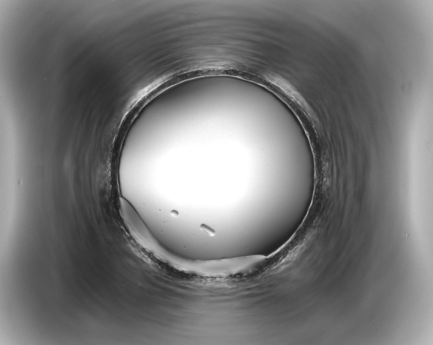 X0000086960834200704301236