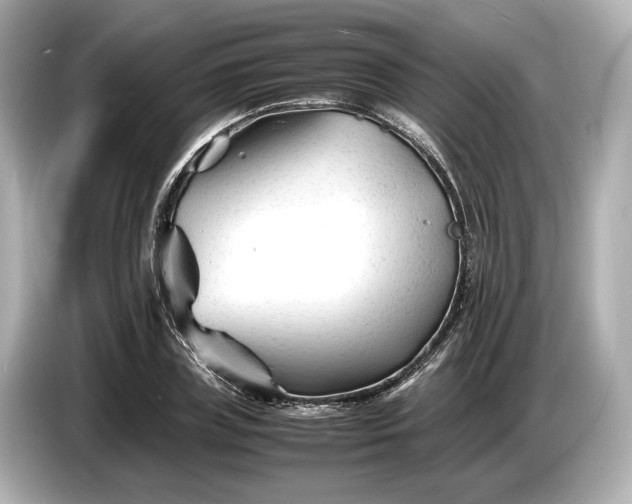 X0000086960835200704301236