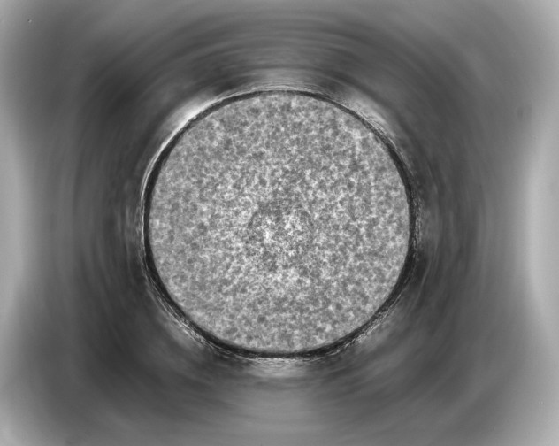 X0000086960836200704301236