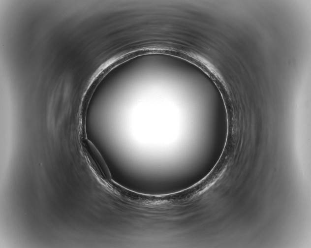 X0000086960837200704301236