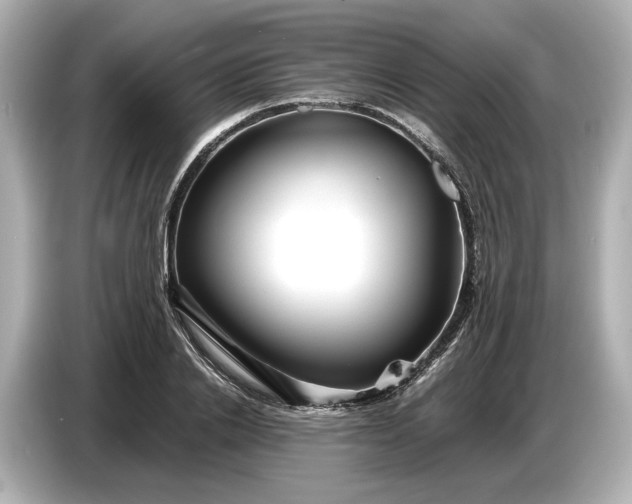 X0000086960838200704301236
