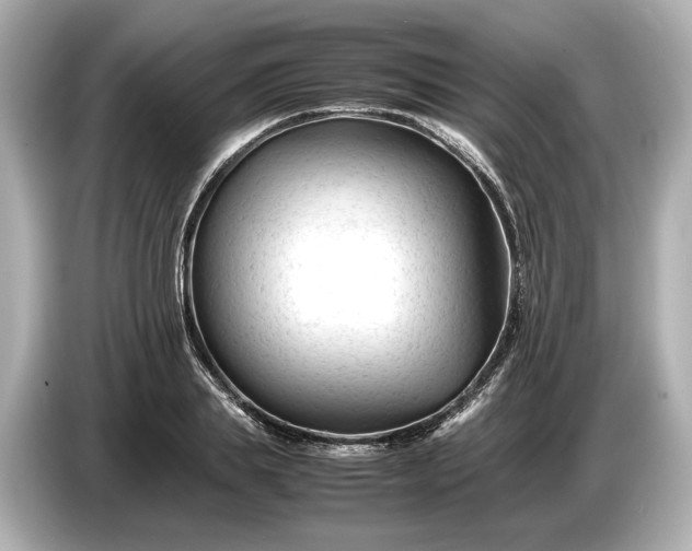 X0000086960839200704301236
