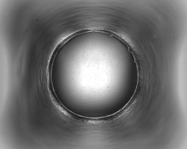 X0000086960840200704301236
