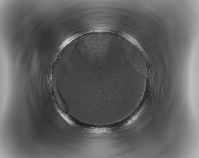 X0000086960842200704301236