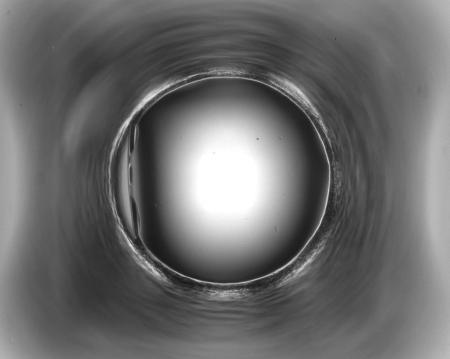 X0000086960843200704301236