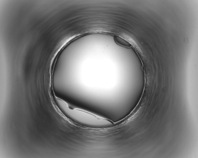 X0000086960844200704301236