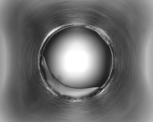 X0000086960846200704301236