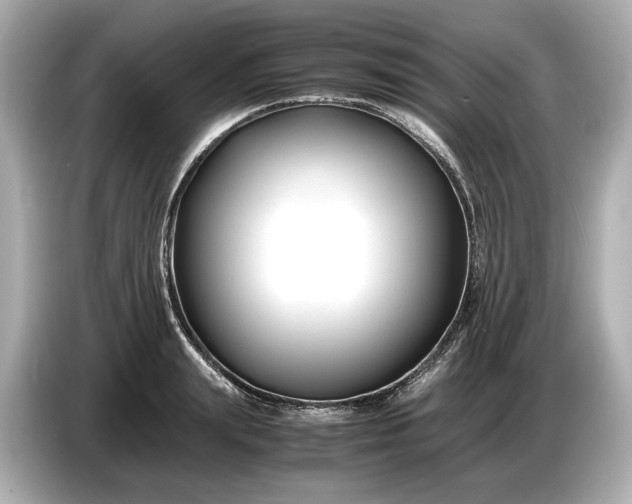 X0000086960847200704301236
