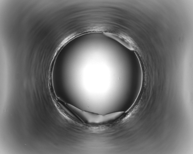 X0000086960850200704301236