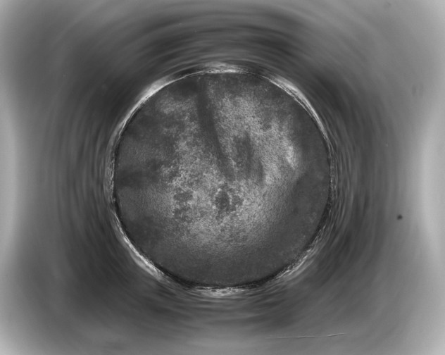X0000086960851200704301236