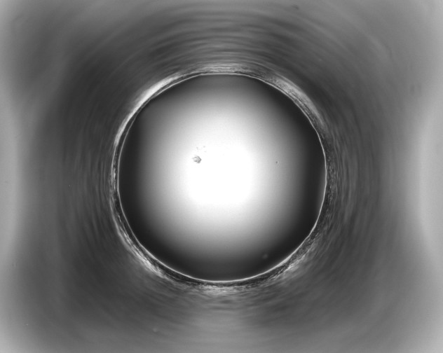 X0000086960852200704301236