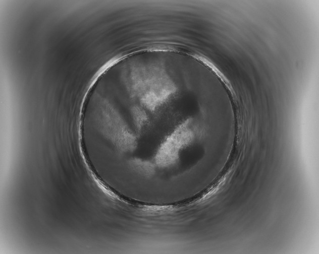 X0000086960853200704301236
