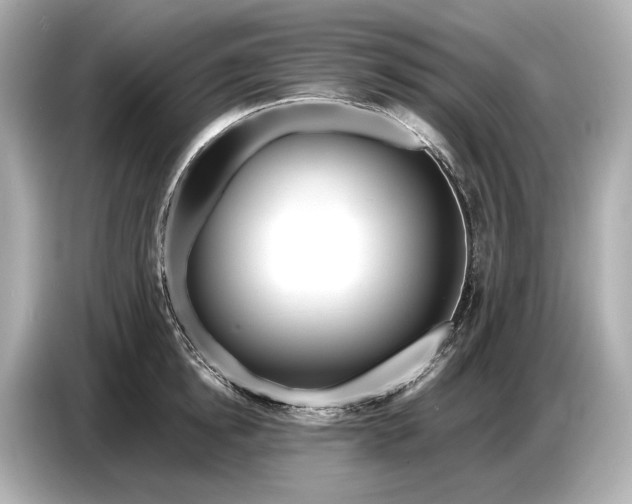 X0000086960854200704301236