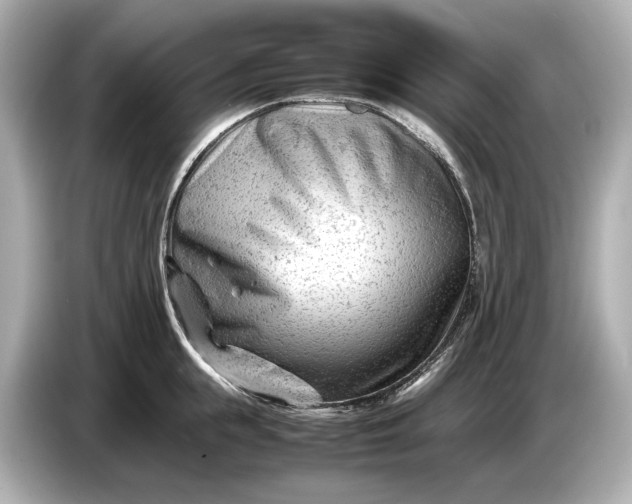 X0000086960855200704301236