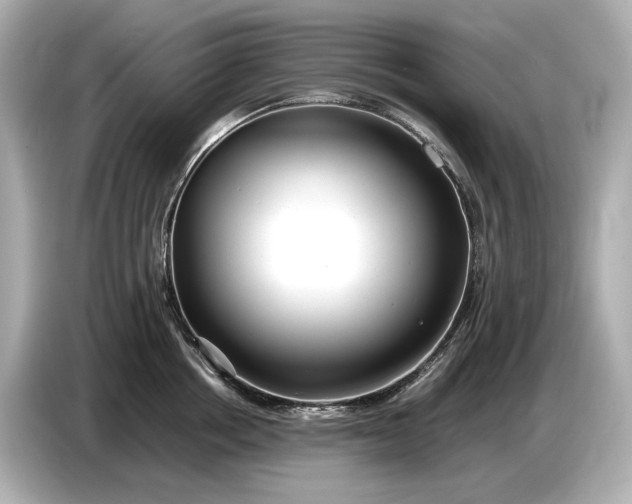 X0000086960858200704301236