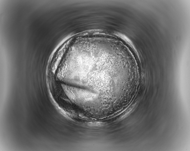 X0000086960859200704301236