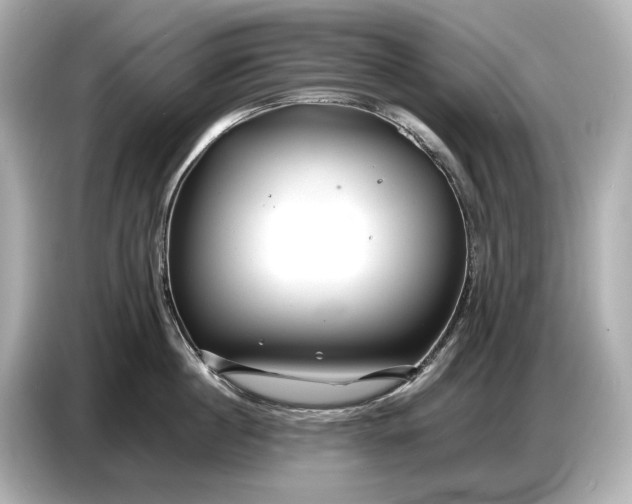 X0000086960860200704301236