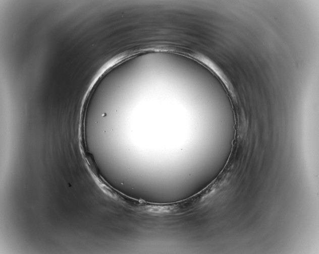 X0000086960861200704301236