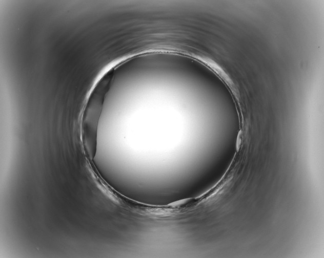 X0000086960862200704301236