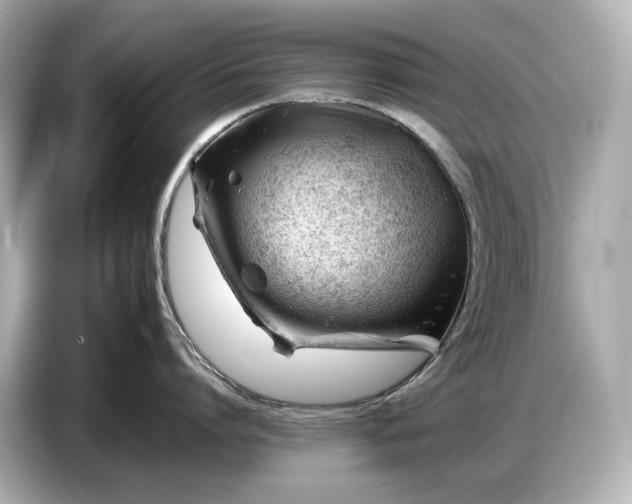 X0000086960864200704301236