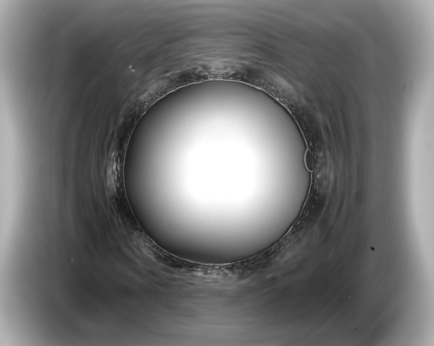 X0000086960866200704301236