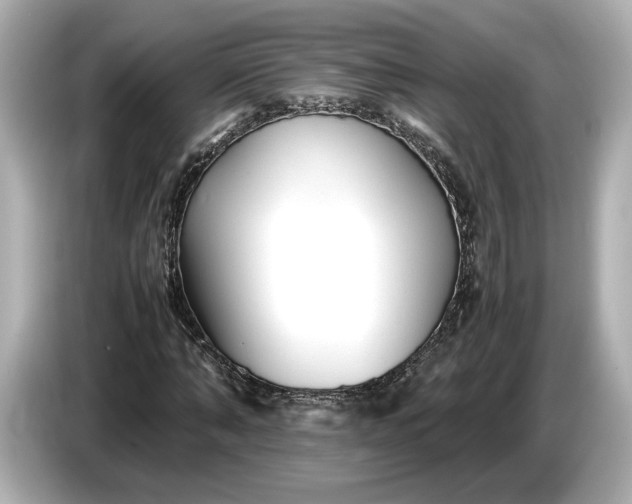 X0000086960870200704301235