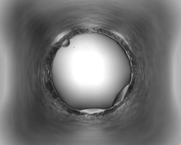 X0000086960871200704301235
