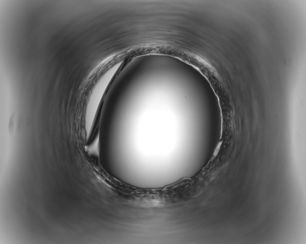 X0000086960872200704301235