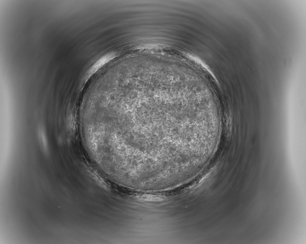 X0000086960874200704301235