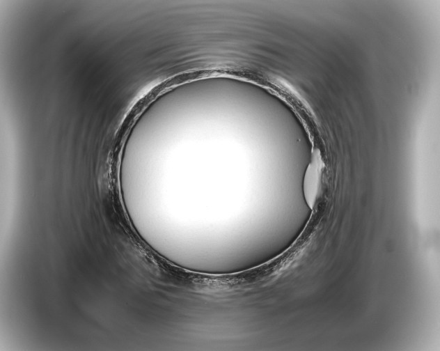 X0000086960875200704301235
