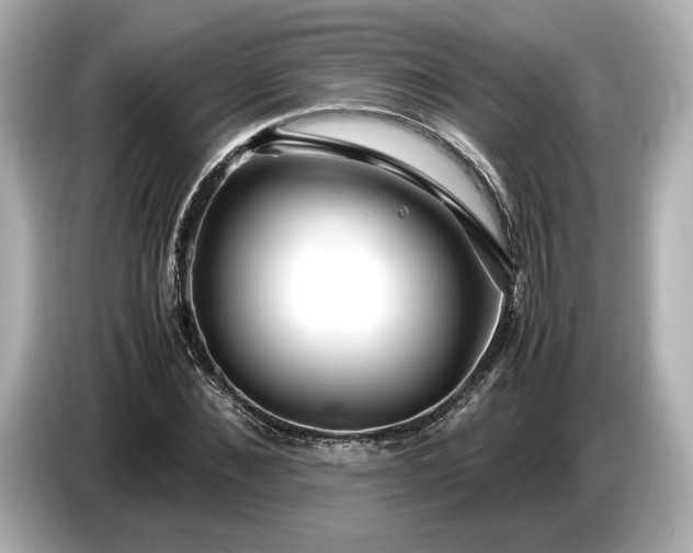 X0000086960876200704301235