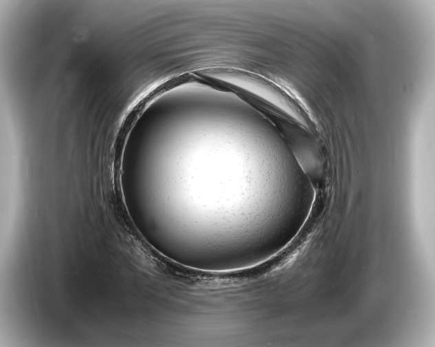 X0000086960877200704301235