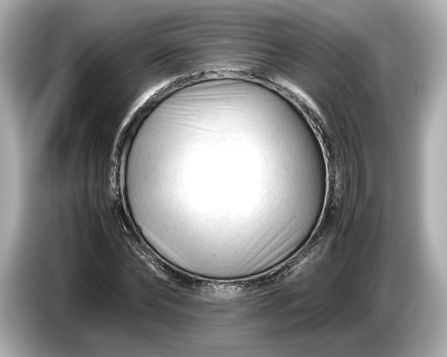 X0000086960878200704301235