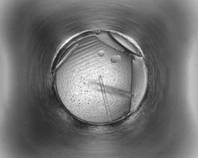 X0000086960879200704301235