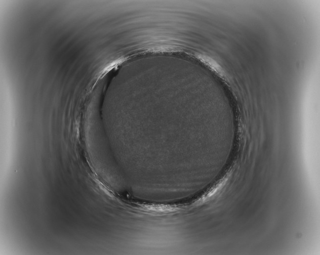 X0000086960881200704301235