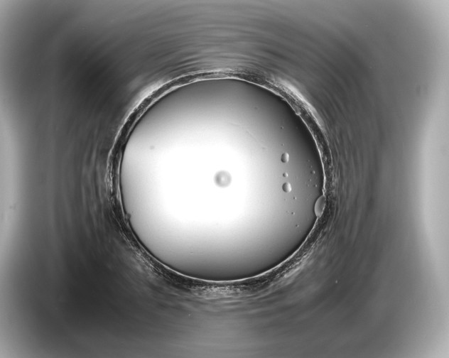 X0000086960883200704301235