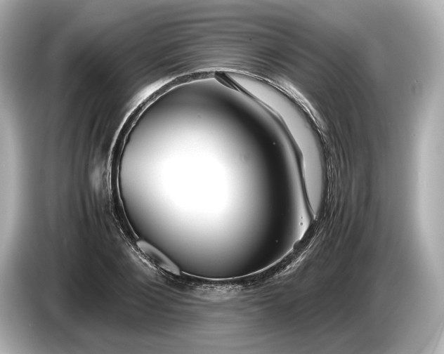 X0000086960884200704301235