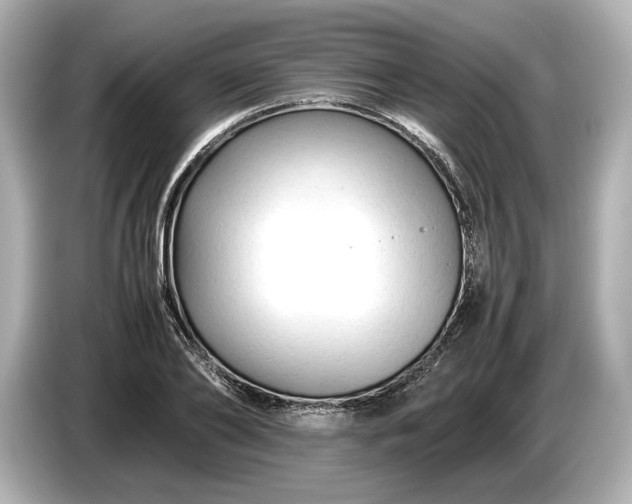 X0000086960886200704301235