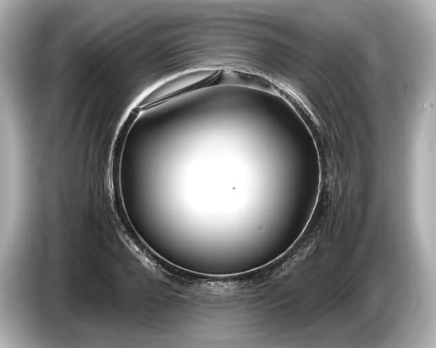X0000086960888200704301235